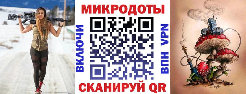 закладки  Сегежа  Галлюциногенные грибы GOLDEN TEACHER 